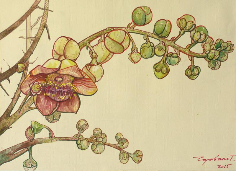 Couroupita guianensis